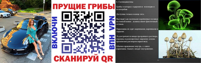 Галлюциногенные грибы ЛСД Кировград